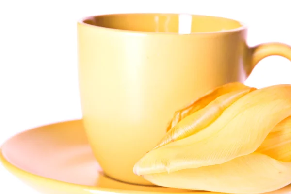 Teacup with yellow tulip — Stock Photo, Image