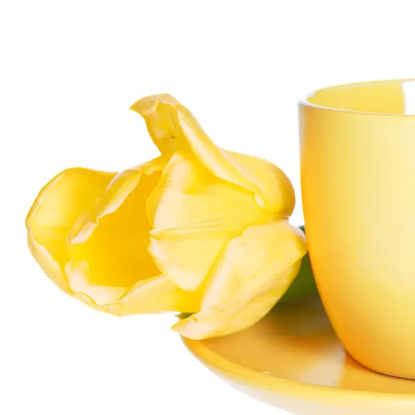 Teacup dengan tulip kuning — Stok Foto