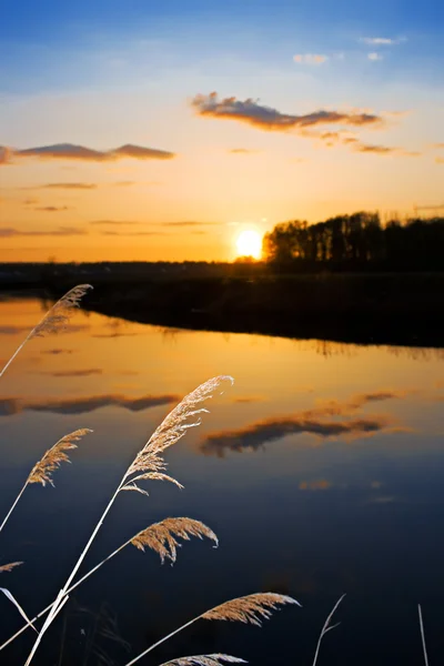 夕方の夏の湖のシーン — ストック写真