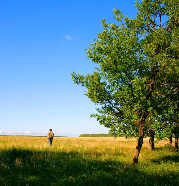 Man leaves in the field — Stock Photo, Image