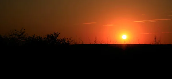 Letní západy slunce obloha scéna — Stock fotografie