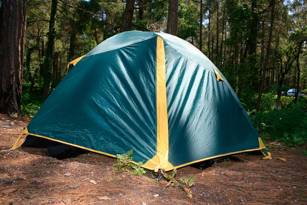 stock image Green camping tent in the forest.