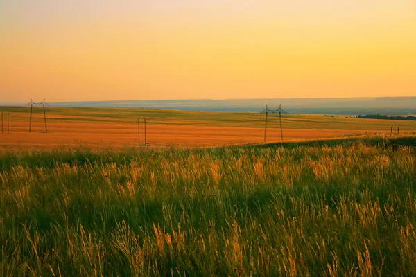 夕方の夏の田舎の風景. — ストック写真