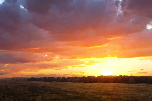 Prachtige zonsondergang en veld — Stockfoto