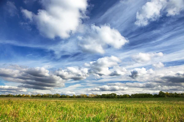 Grama verde, céu azul e nuvens brancas — Fotografia de Stock