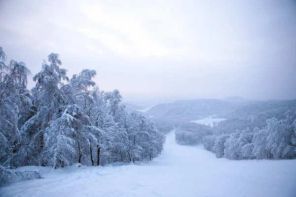 Kalte Winterszene, blau getönt — Stockfoto
