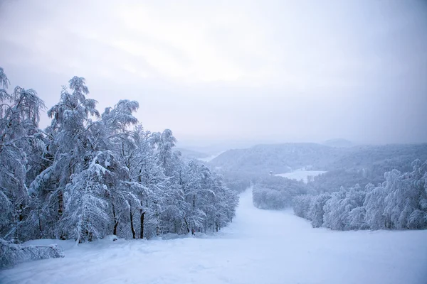 Koude winters tafereel, afgezwakt blauw — Stockfoto