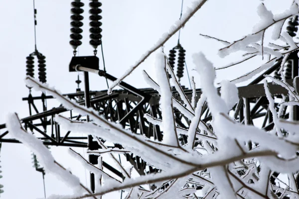 Electricity power station and tree branches. — Stock Photo, Image