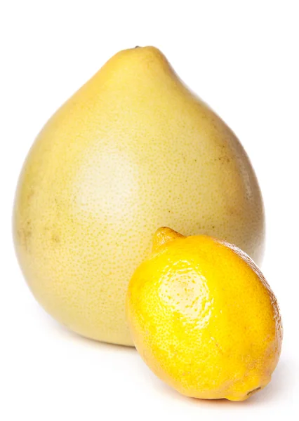 Agrumes maxima et citron — Photo