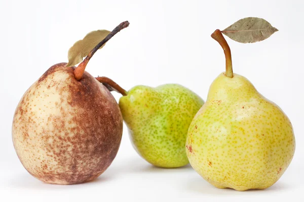 Pears isolated on a white — Stock Photo, Image