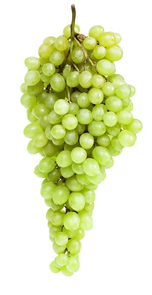 Grape on white — Stock Photo, Image