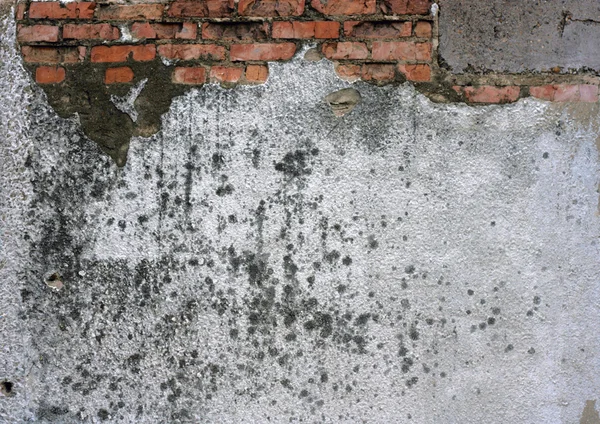 汚れた壁 — ストック写真