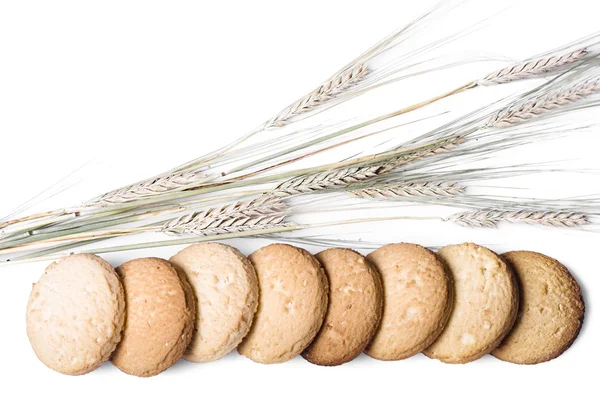 Cookie and spikelets — Stock Photo, Image