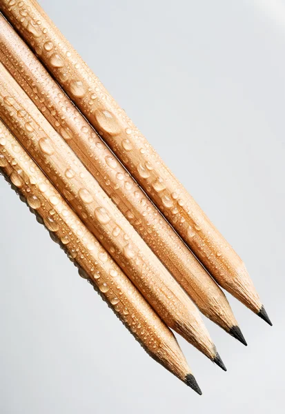 Frische Bleistifte — Stockfoto