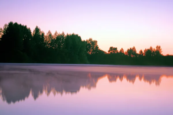 stock image Spring scene on the lake