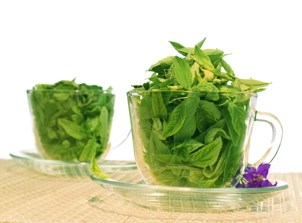 stock image Leaves in cup