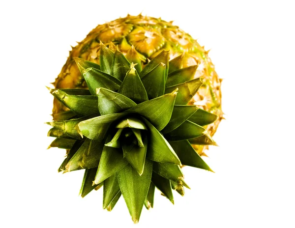 在白色背景上分离的菠萝 免版税图库图片