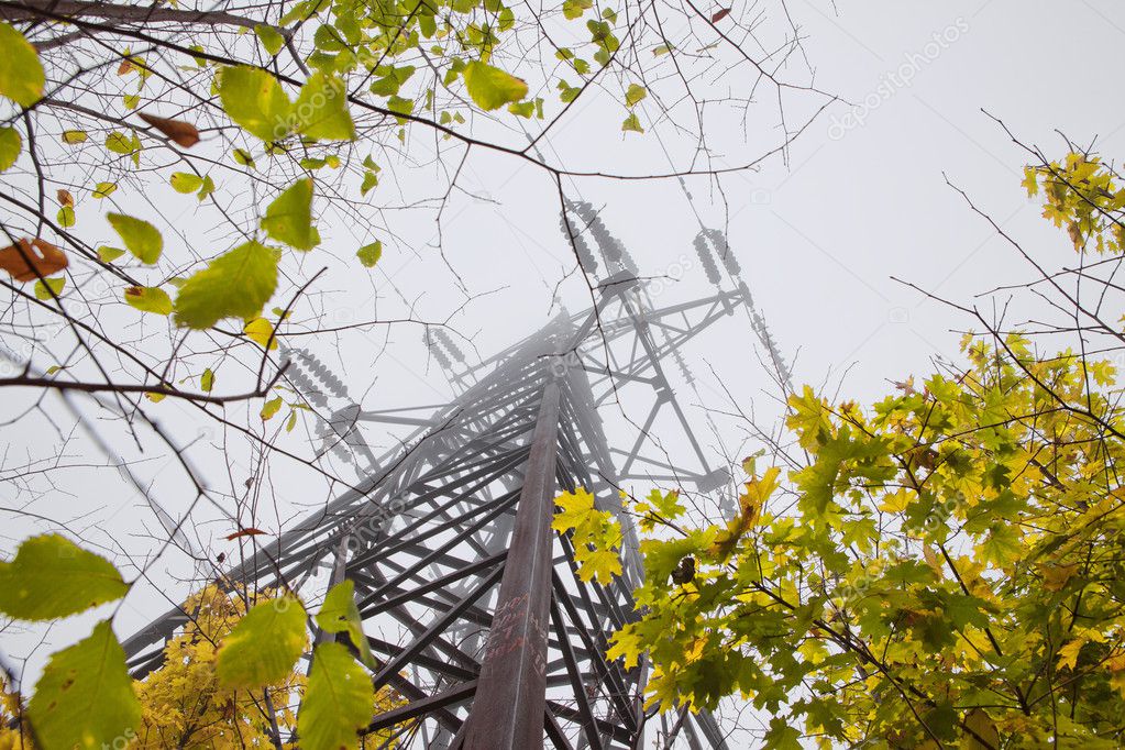 Autumn, electricity and fog