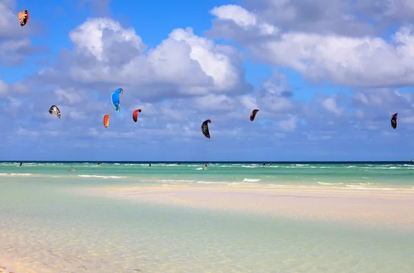 stock image Kitesurfing on the coast of Cuba. Cayo Guillermo in Atlantic Oce