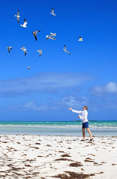 Homem na praia alimentando gaivotas do mar . — Fotografia de Stock