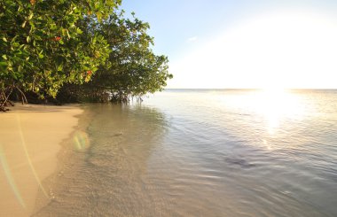 Atlantik Okyanusu günbatımı. Cayo guillermo. Küba.