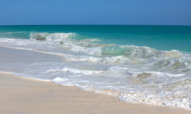 Karayip Denizi. Playa los cocos. Cayo largo. Küba.