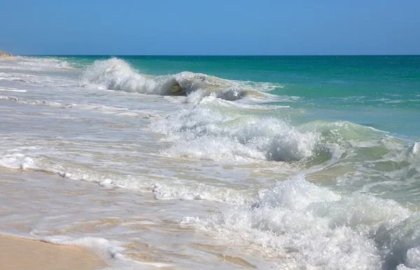賑やかなカリブ海。プラヤ ロス ココス。cayo ラルゴ。キューバ. — ストック写真