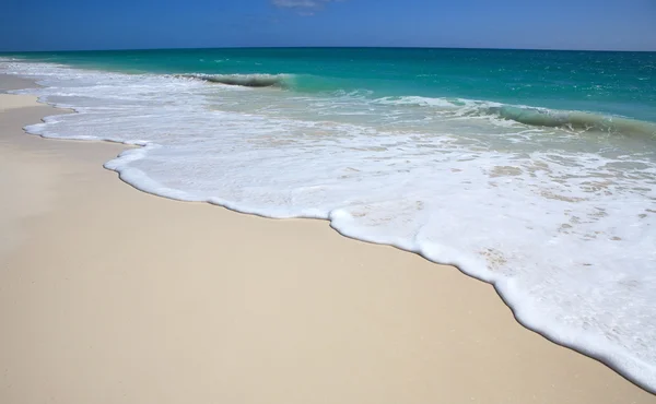 Clean beach Caribbean Sea. Playa los Cocos. Cayo Largo. Cuba. — Stock Photo, Image