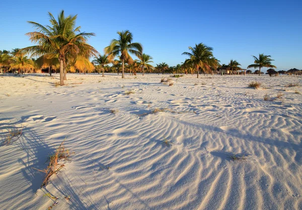 Bílý písek a palm stromy. Playa sirena. Cayo largo. Kuba. — Stock fotografie