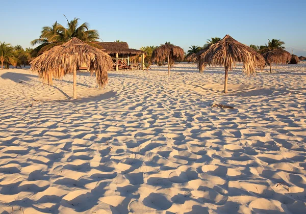 Paraplyer av halm. Playa sirena. Cayo largo. Kuba. — Stockfoto