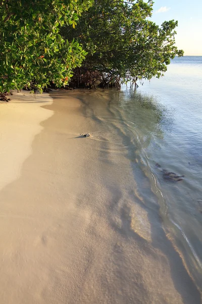 Zuivere witte strand van het eiland cayo guillermo. Atlantische Oceaan — Stockfoto