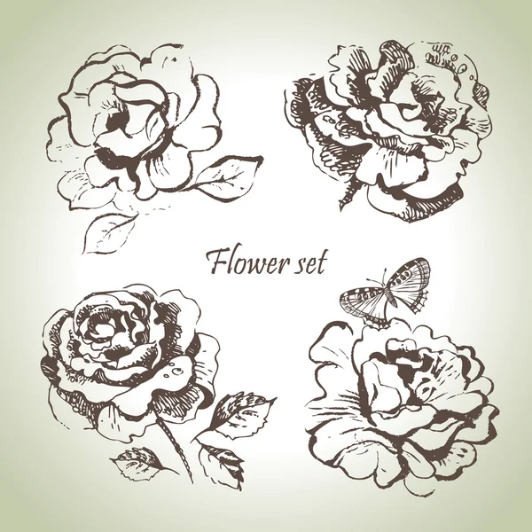 Ensemble floral. Illustrations de roses dessinées à la main — Image vectorielle