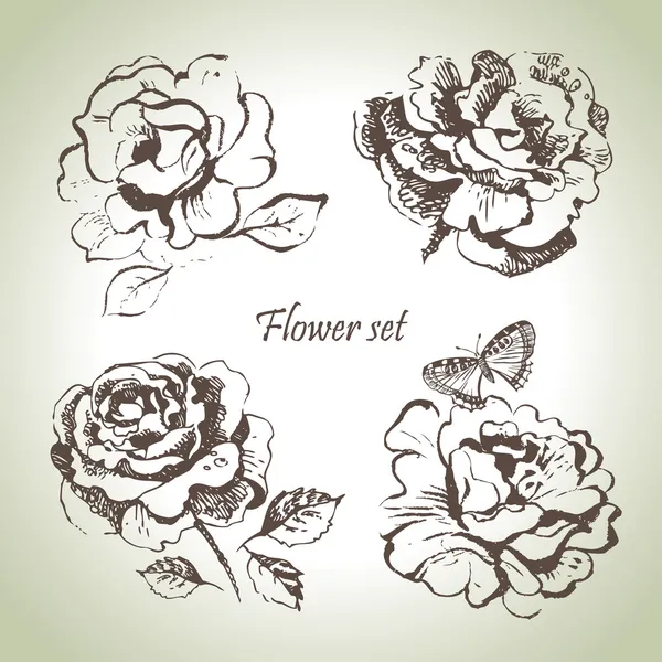 Ensemble floral. Illustrations de roses dessinées à la main — Image vectorielle