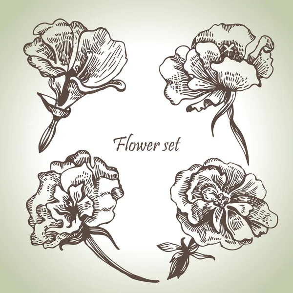 Conjunto floral. Ilustrações desenhadas à mão — Vetor de Stock
