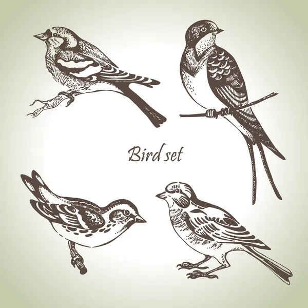 Pták sada — Stockový vektor