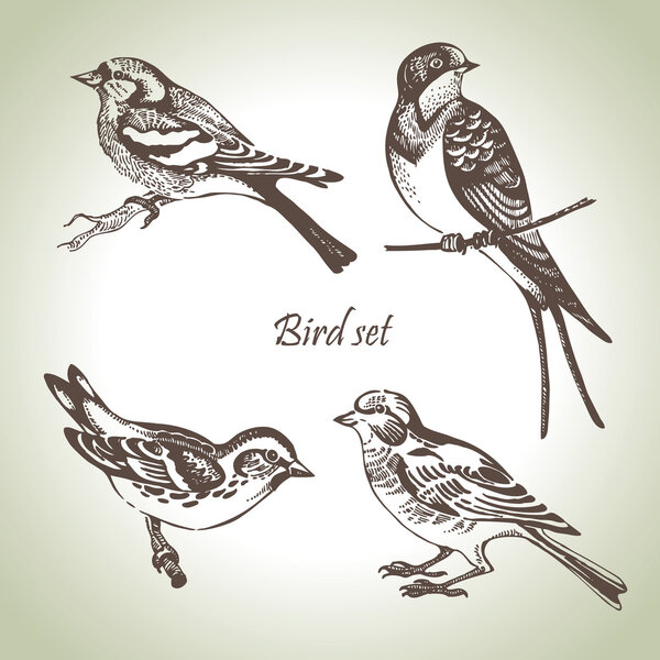 Bird set