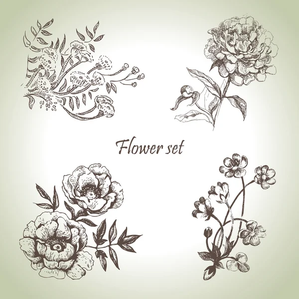 Ensemble floral. Illustrations dessinées main — Image vectorielle