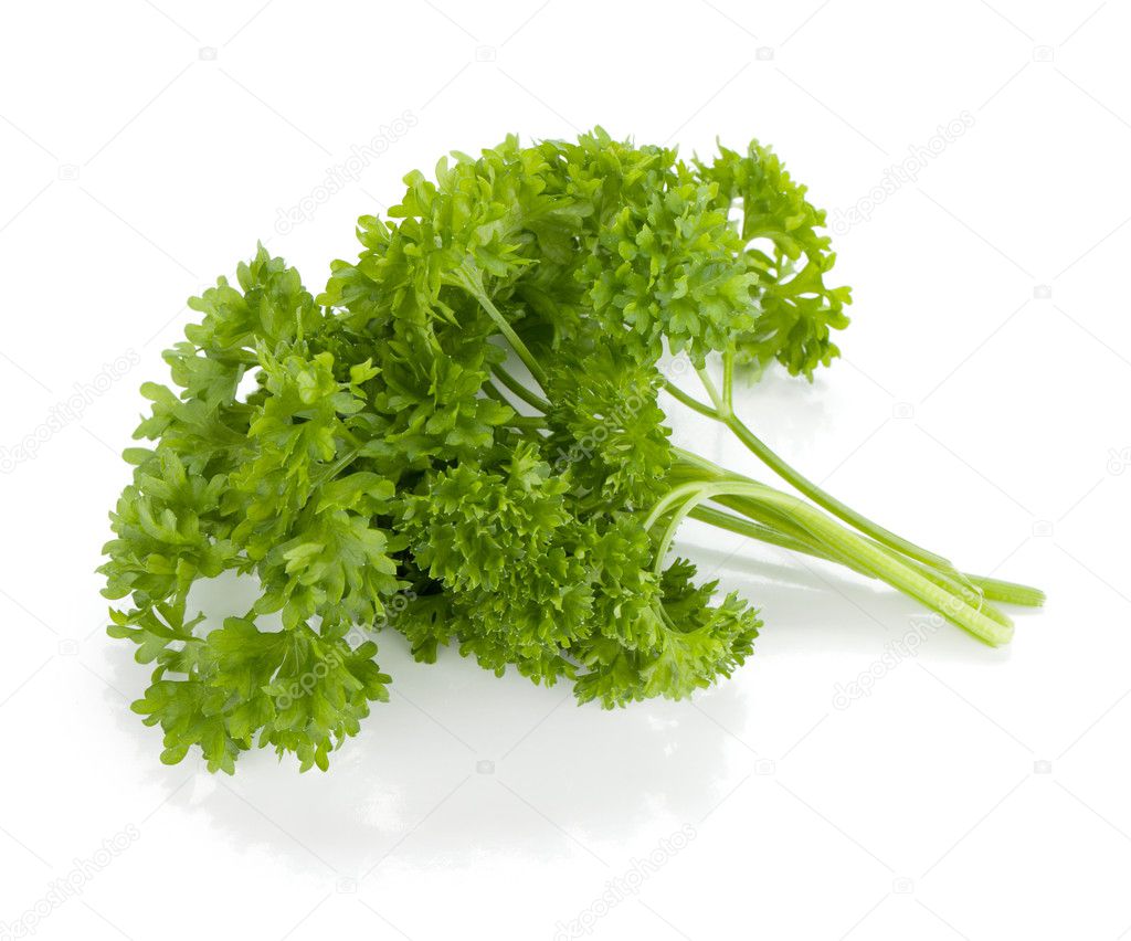 Bunch of fresh green curly parsley