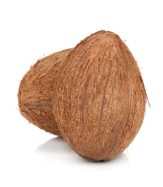 Två kokosnötter — Stockfoto