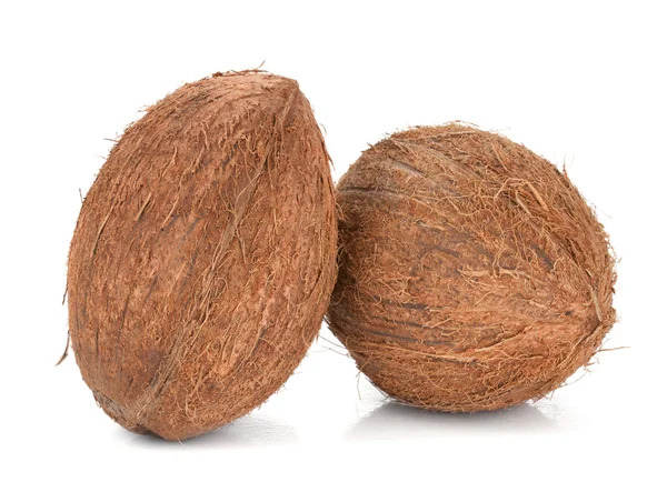 Dois cocos — Fotografia de Stock