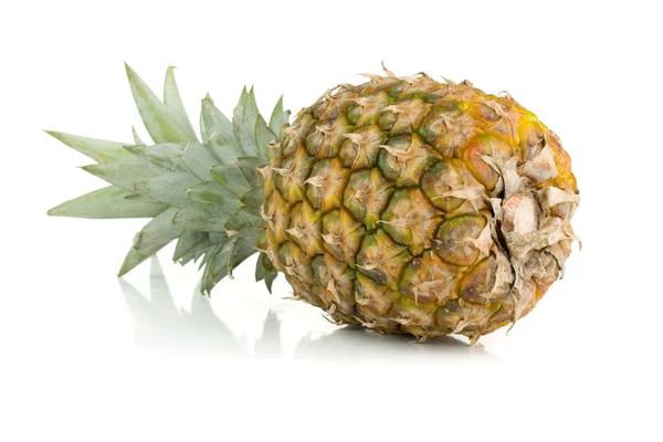 Tuore mehukas ananas — kuvapankkivalokuva