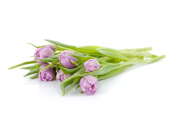 Lying pink tulips bouquet — Stock Photo, Image