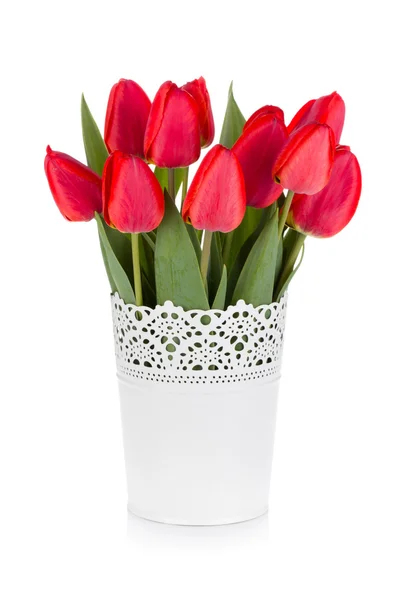 Красные тюльпаны в цветочном горшке — стоковое фото