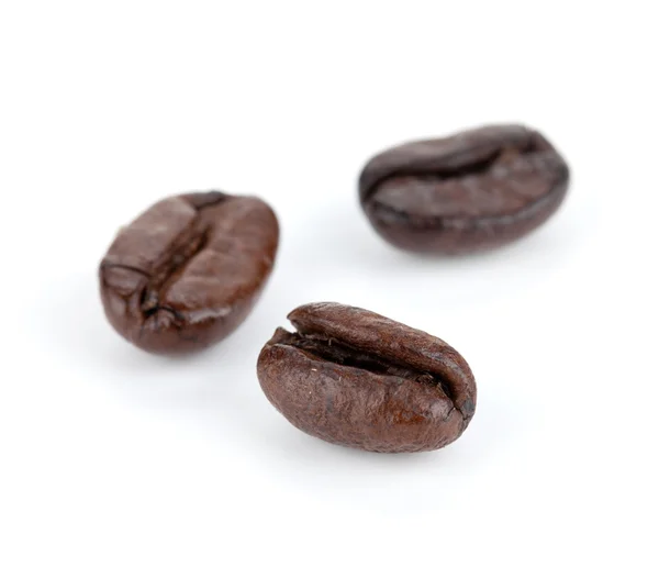 Trzy ziarna kawy — Zdjęcie stockowe