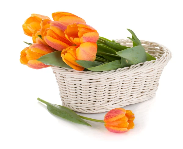 Orange tulips flowers — Stock Photo, Image