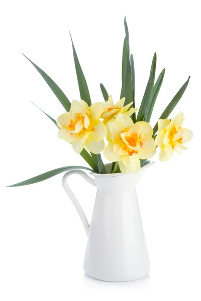 Bouquet of yellow daffodils in jug — Stock Photo, Image