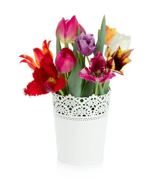Multi kolorowe tulipany w doniczka — Zdjęcie stockowe