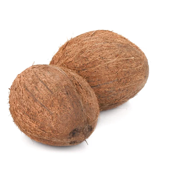 2 つのココナッツ — ストック写真