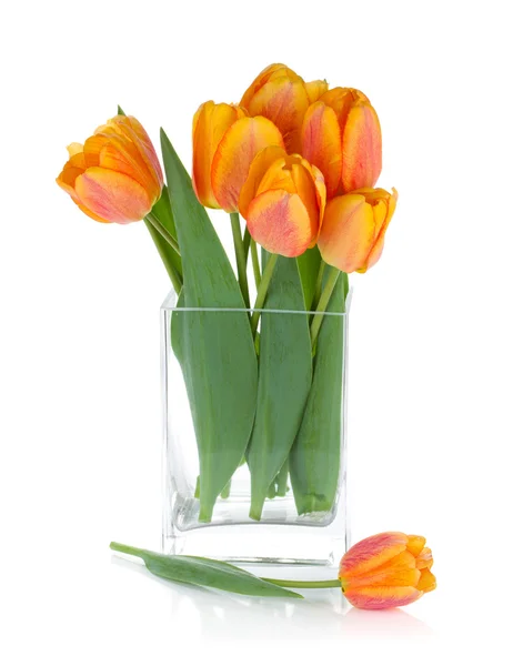 Помаранчеві тюльпани в квітковій мисці — стокове фото