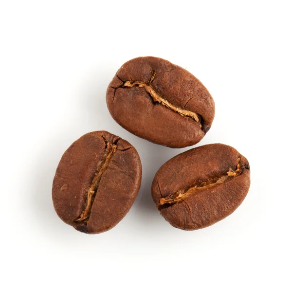 Três grãos de café — Fotografia de Stock